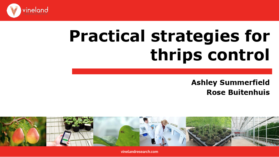 Practical Strategies for Thrips Control (ProFlora 2023)